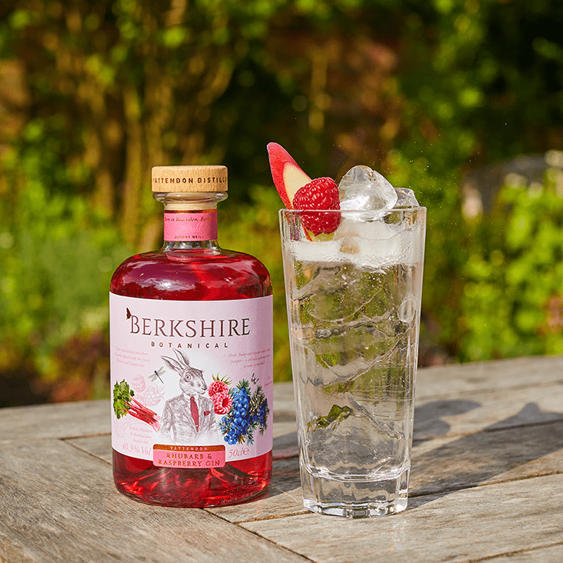 Rhubarb and Raspberry G&T